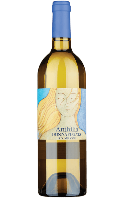 anthilia-dop